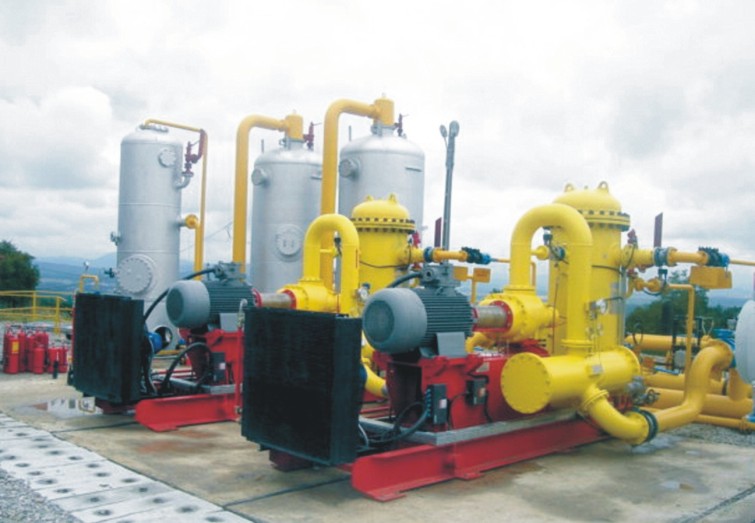 Natural gas compression equipments with screw compressor units